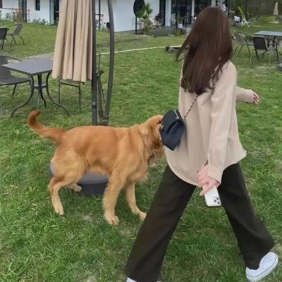 亡灵之城